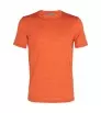 Тениска Icebreaker 125 Cool-Lite Merino Blend Sphere III SS Tee M's Summer 2025